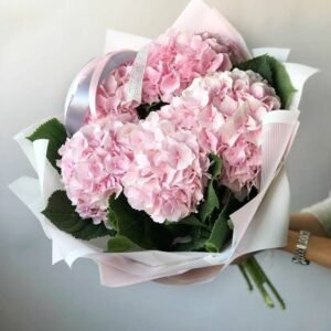 Baby Pink Hydrangeas Bouquet